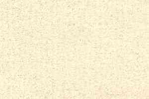 Ковролин Radici Admiral Snow 2225 фото  | FLOORDEALER